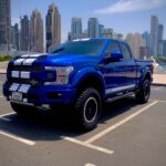 FORD F-150 SHELBY