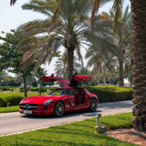 2011 MERCEDES-BENZ SLS AMG
