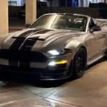 Ford Mustang Shelby Speedster for Sale
